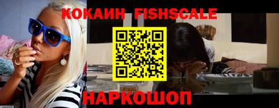 индика Гусев