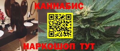 индика Гусев