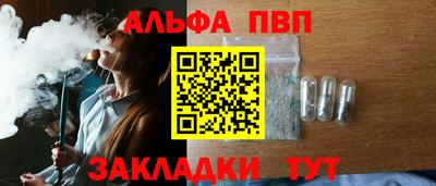 индика Гусев