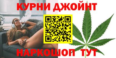 индика Гусев