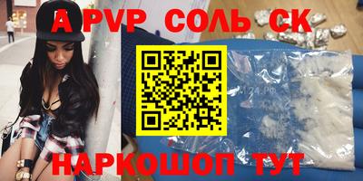 индика Гусев