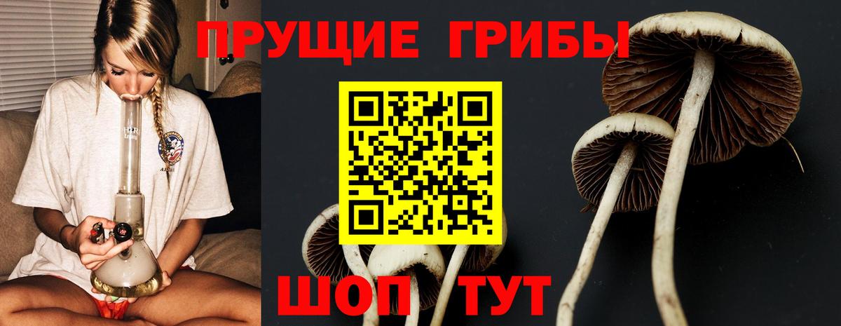 Мыски  Псилоцибиновые грибы мицелий  Вход с VPN 